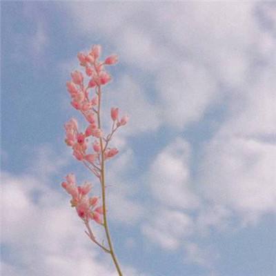 乐鱼平台app下载官网