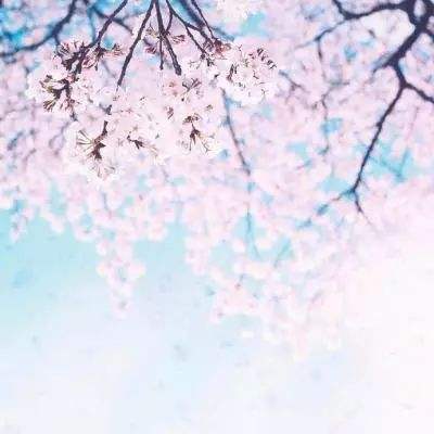 开元app下载手机版