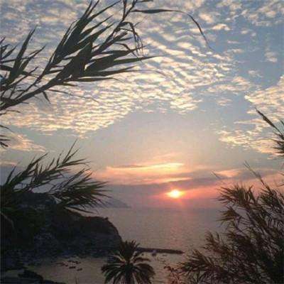 乐宝体育官网登录入口