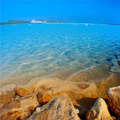 mg娱乐电子游戏官网