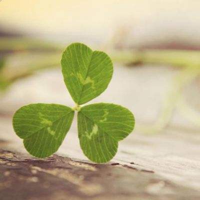 kaiyun·开云下载手机版