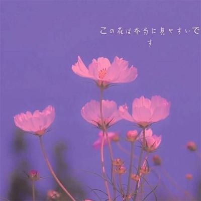 金年会体育app手机注册