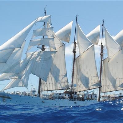 大发国际下载手机版